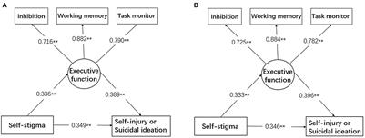 Frontiers | The Mediating Role Of Executive Function In The ...